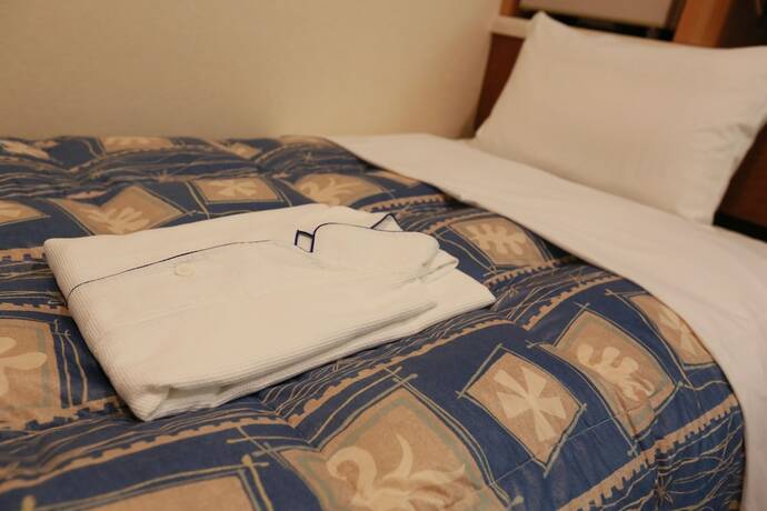 Imagen de la habitación del Hotel Ikeda. Foto 8