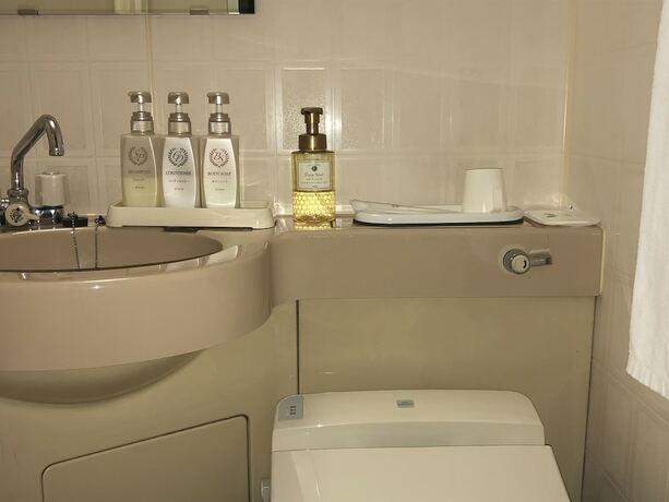 Imagen de la habitación del Hotel Ikeda. Foto 11