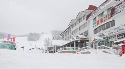 Imagen general del Hotel Ikenotaira Shirakaba Kogen. Foto 11