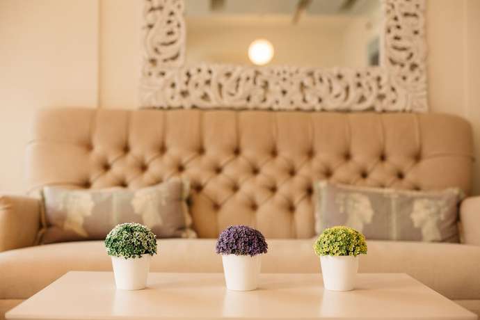 Imagen de los interiores del Hotel Ikion Eco Boutique, Al&oacute;nnisos. Foto 20