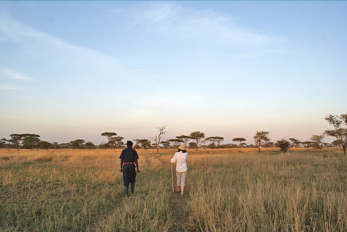 Imagen de los exteriores del Hotel Ikoma Tented Camp. Foto 11