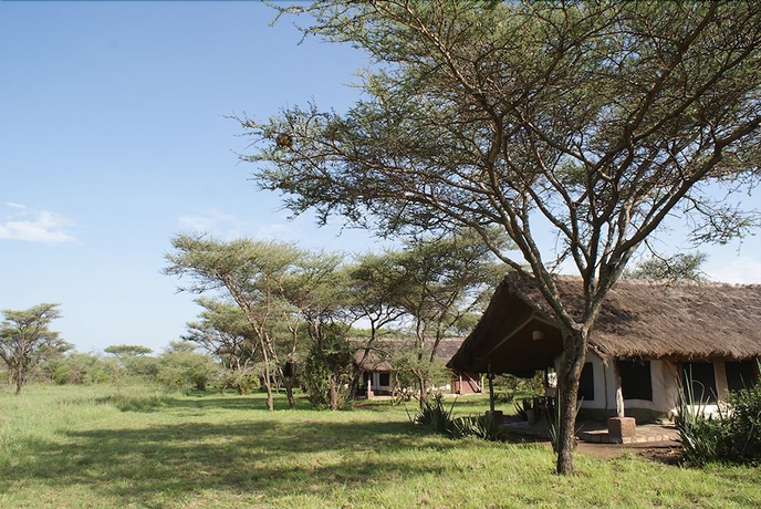 Imagen general del Hotel Ikoma Tented Camp. Foto 9