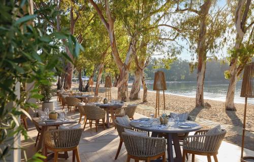Imagen del bar/restaurante del Hotel Ikos Odisia - All Inclusive. Foto 3