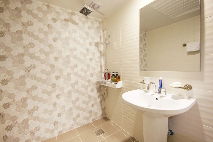 Imagen general del Hotel Iksan Healing. Foto 11