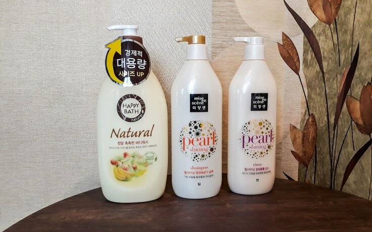 Imagen general del Hotel Iksan Sinseong. Foto 8