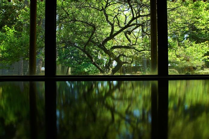 Imagen general del Hotel Ikuji Onsen Tanakaya. Foto 2