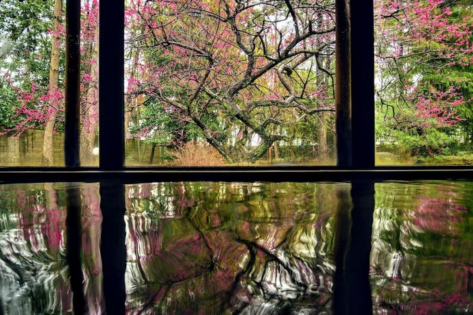 Imagen general del Hotel Ikuji Onsen Tanakaya. Foto 6