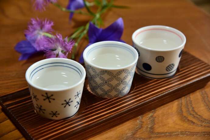 Imagen general del Hotel Ikuji Onsen Tanakaya. Foto 11