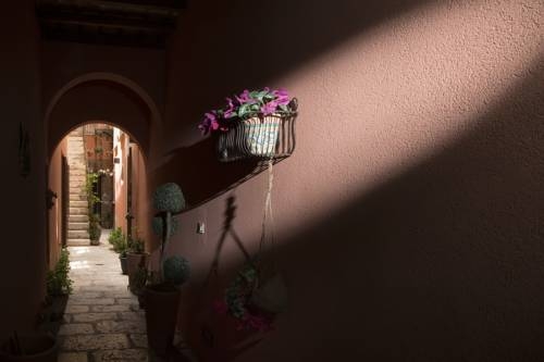 Imagen general del Hotel Il Cortile Fiorito. Foto 2