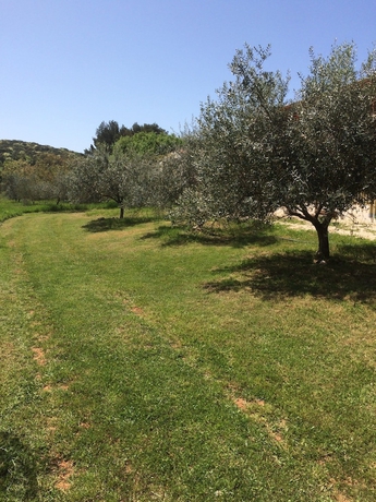 Imagen de los exteriores del Hotel Il Giardino Degli Ulivi. Foto 17