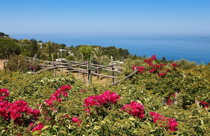 Imagen de los exteriores del Hotel Il Girasole, Anacapri. Foto 13