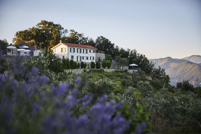 Imagen general del Hotel Il Leccio Luxury Resort. Foto 1