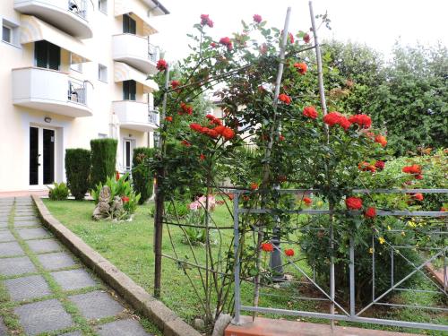 Imagen general del Hotel Il Pino, San Vincenzo. Foto 6