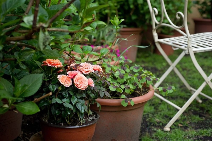 Imagen general del Hotel Il Relais Dell'abbazia. Foto 3