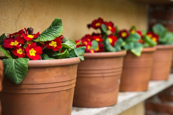 Imagen general del Hotel Il Relais Dell'abbazia. Foto 4