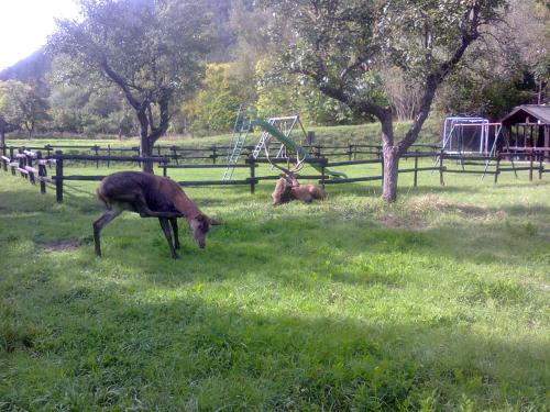 Imagen general del Hotel Il Vecchio Pescatore. Foto 2