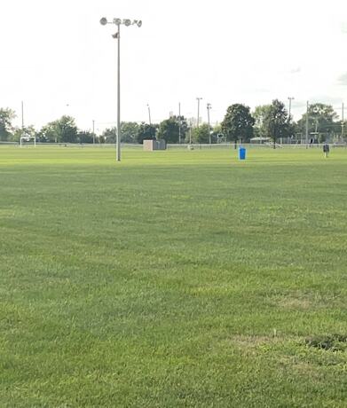 Imagen general del Hotel Illini Inn and Suites - Rantoul/Gifford/Champaign/Urbana. Foto 4