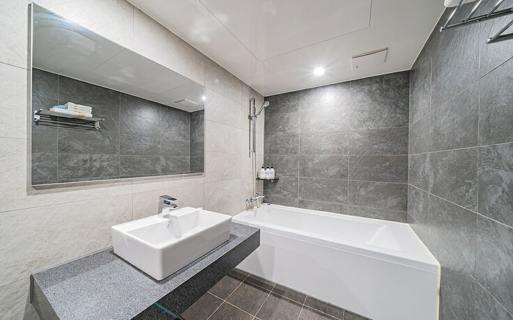 Imagen general del Hotel Ilsan Mikasa. Foto 10
