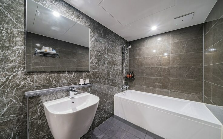 Imagen general del Hotel Ilsan Mikasa. Foto 12