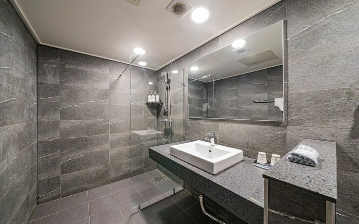Imagen general del Hotel Ilsan Mikasa. Foto 14