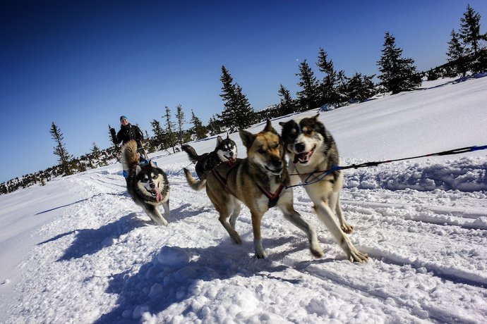 Imagen general del Hotel Ilsetral. Foto 3