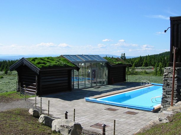 Imagen de la piscina del Hotel Ilsetral. Foto 16