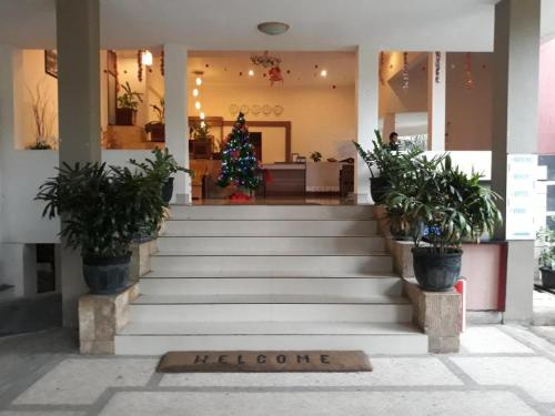 Imagen general del Hotel Ima hotel. Foto 2