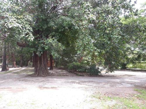 Imagen general del Hotel Ima hotel. Foto 7