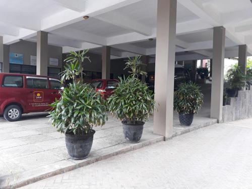 Imagen general del Hotel Ima hotel. Foto 8