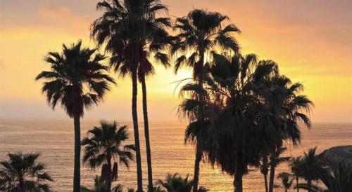 Imagen general del Hotel Ima hotel. Foto 15