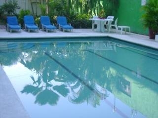 Imagen de la piscina del Hotel Imelda. Foto 1
