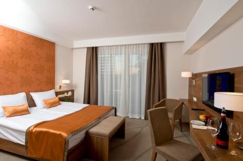 Imagen de la habitación del Hotel Imola Plat&aacute;n. Foto 6
