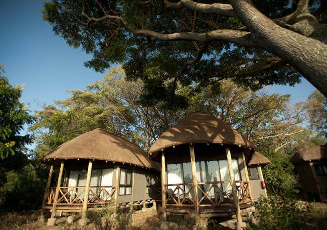 Imagen de la habitación del Hotel Impala Ecolodge. Foto 10