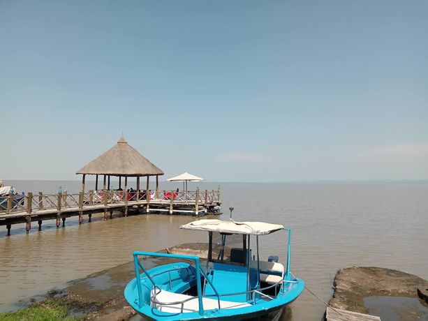 Imagen de los exteriores del Hotel Impala Ecolodge. Foto 17