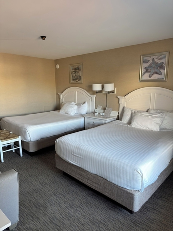 Imagen de la habitación del Hotel Impala Island Inn. Foto 5