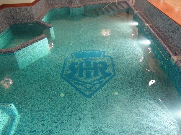 Imagen de la piscina del Hotel Imparatul Romanilor. Foto 15