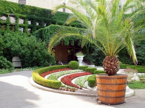 Imagen general del Hotel Imperial Hotel. Foto 21