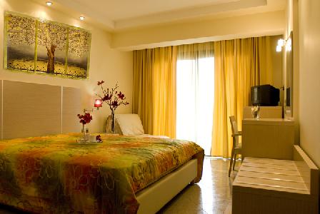 Imagen de la habitación del Hotel Imperial, Nea Skioni. Foto 8