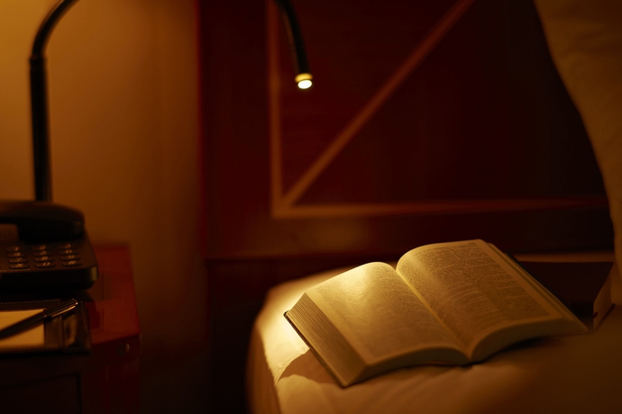 Imagen general del Hotel Imperial Osaka. Foto 6