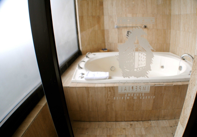 Imagen de la piscina del Hotel Imperial Reforma. Foto 16