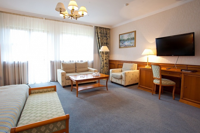 Imagen de la habitación del Hotel Imperial, Rogozinino. Foto 9