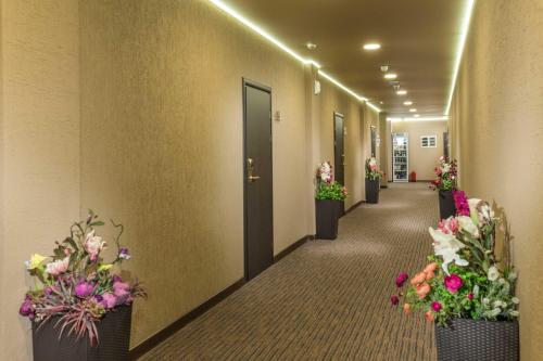 Imagen general del Hotel Imperial Sun. Foto 2