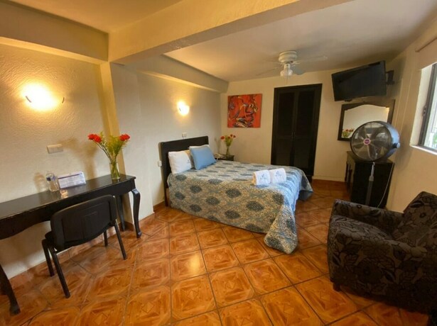 Imagen de la habitación del Hotel Imperial, Xalapa. Foto 17