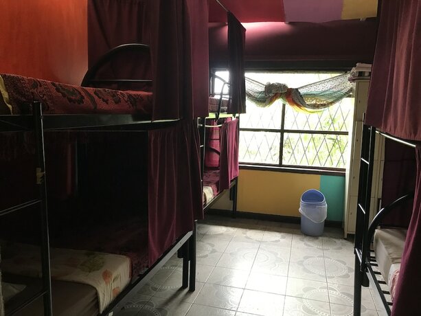 Imagen de la habitación del Hotel In The Wind Hostel And Guesthouse. Foto 11