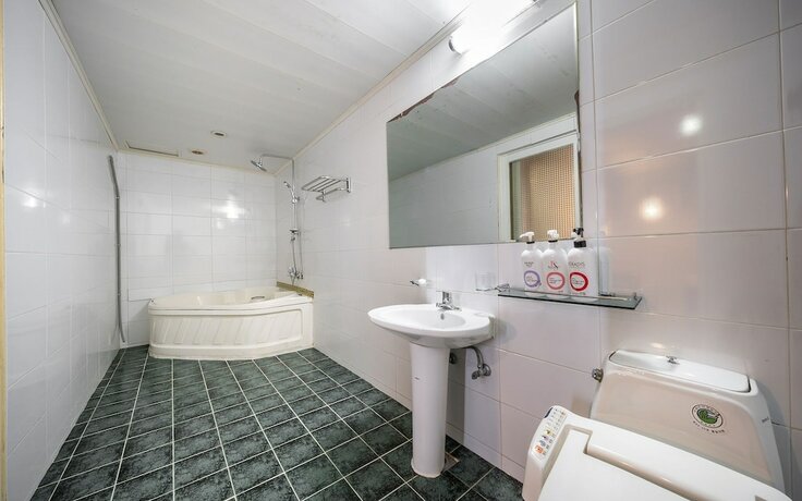 Imagen general del Hotel Incheon Bobos. Foto 14