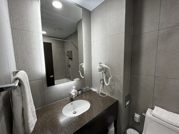 Imagen de la habitación del Hotel Incheon Rivieraverium. Foto 14