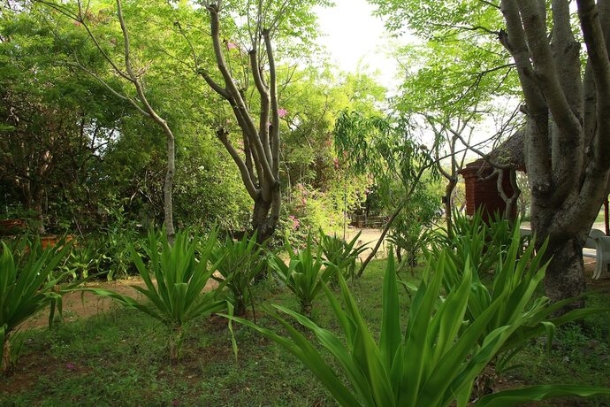 Imagen general del Hotel Indeco Mahabalipuram. Foto 12