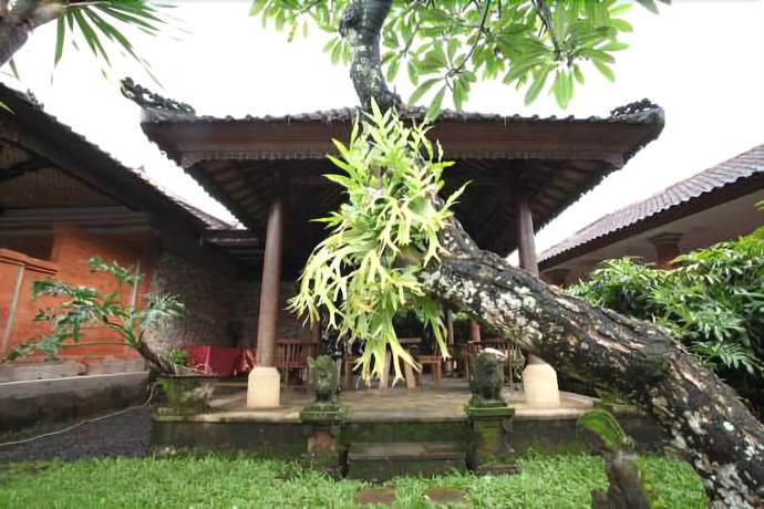 Imagen general del Hotel Indi Bali Sanur. Foto 1