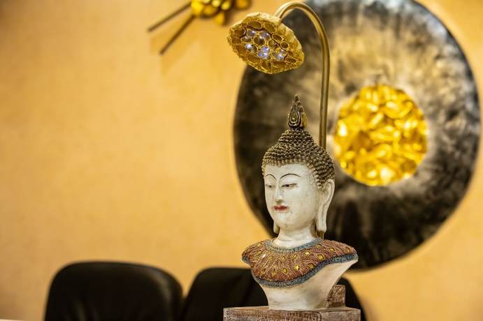 Imagen de los interiores del Hotel Indian Heritage. Foto 19