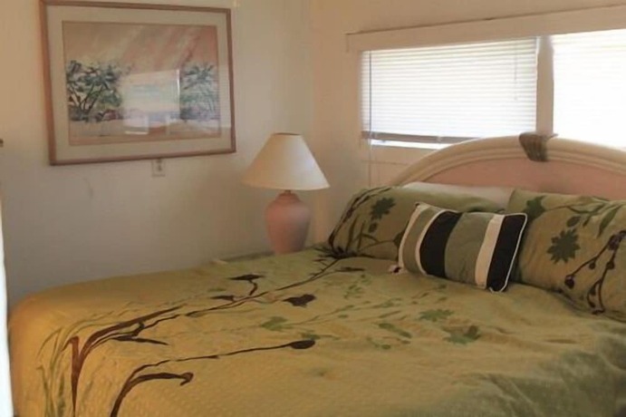 Imagen general del Hotel Indian River Lagoon Waterfront Cottages. Foto 9